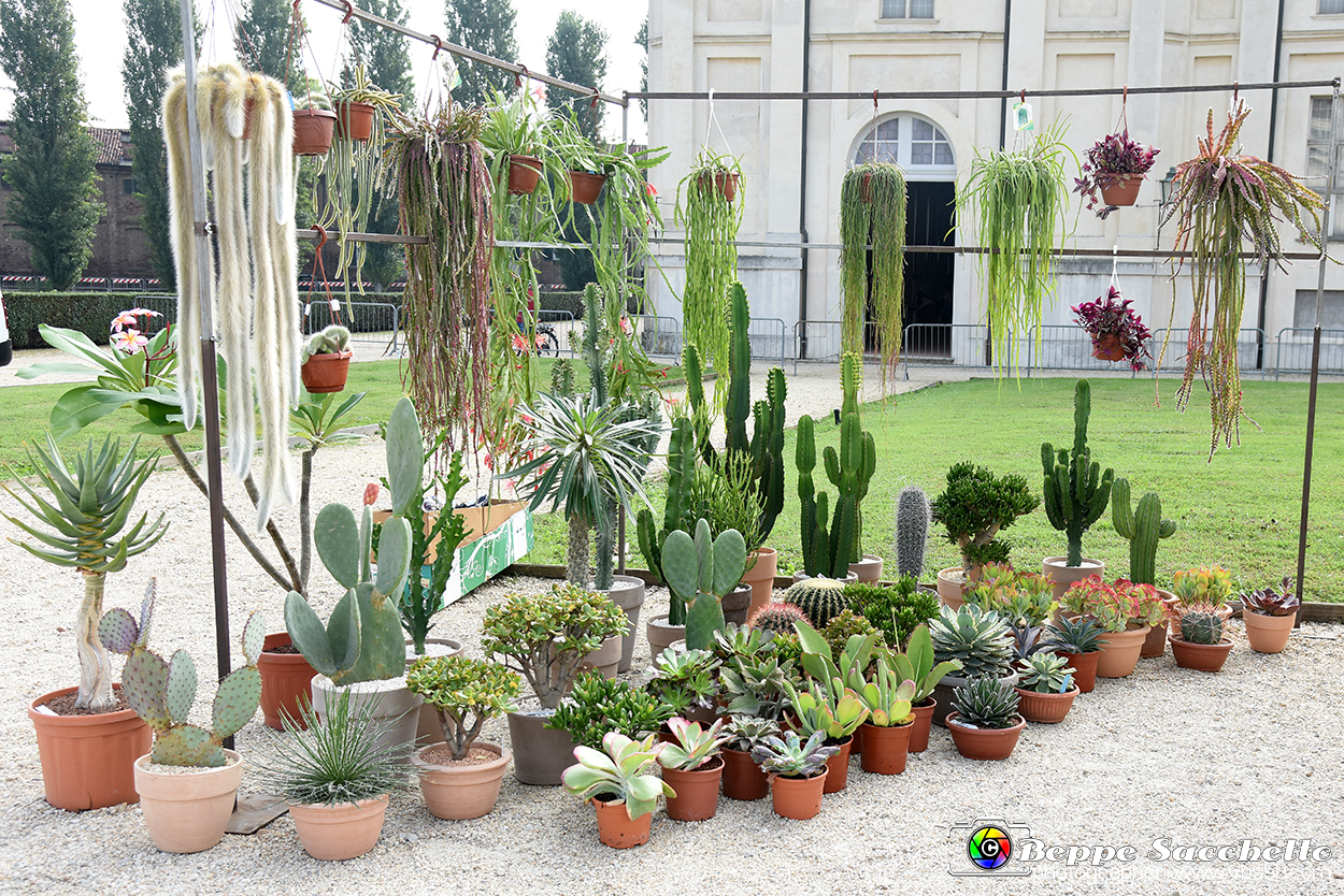 VBS_3671 - Floreal 2023 - Vivere con le piante.jpg